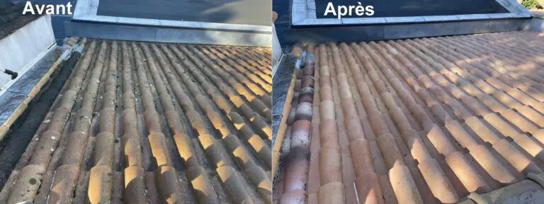 Démoussage Avant-Après